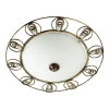 3484/2C Настенно-потолочный светильник Odeon Light Kanti 3484/2C