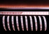 840144 Светодиодная лента Deko-Light SMD5050 840144