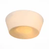 SL296.502.02 Потолочный светильник ST Luce Adatto SL296.502.02