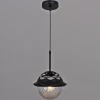 05905-0.9-01 BK Подвесной светильник Reluce 05905-0.9-01 BK