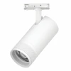 C4306SS Трековый светильник однофазный/трехфазный светодиодный 30W 220V 2100LM 20-55G с тонким адаптером Lightstar Canno Pro C4306SS