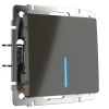WL07-SW-1G-2W-LED Выключатель одноклавишный проходной с подсветкой (серо-коричневый) WL07-SW-1G-2W-LED (a035909)