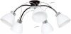 5827 Luminex Astro 5827