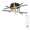 A2199PL-5BK Потолочная люстра Arte Lamp Fernando A2199PL-5BK