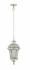 95205L Gw Уличный светильник подвесной Oasis Light ROMA L 95205L Gw (220V, на цепи, IP44)