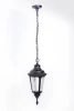 79755S Bl Уличный светильник подвесной Oasis Light 79755S Bl (220V, на цепи, IP44)