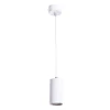 A1516SP-1WH Подвесной светильник Arte Lamp Canopus A1516SP-1WH