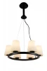 SL256.403.06 Подвесная люстра ST Luce SL256.403.06