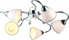 A9488PL-5CC Потолочная люстра Arte Lamp Caprice A9488PL-5CC