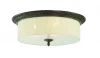 SL134.402.03 Потолочный светильник ST Luce SL134 SL134.402.03