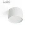 62C911.10Wh3000K Накладной потолочный светильник Raumberg 62C911.10Wh3000K White IP54