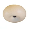 SL297.512.03 Потолочный светильник ST Luce Sfera SL297.512.03