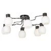 LSC-8503-08 Потолочная люстра Lussole Carpino LSC-8503-08