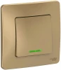 BLNVS010114 Выключатель встраиваемый одноклавишный с подсветкой (титан) Systeme Electric Blanca BLNVS010114
