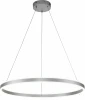 V000018L Подвесной светильник Galass V000018L (14001/1P Silver)