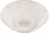 L17256.55 L'Arte Luce Luxo L17256.55
