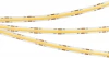 031905 Светодиодная лента Arlight COB 031905
