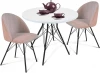 7349138701 Стол со стульями SHT-DS69 розовый десерт/черный/белоснежная шагрен от фабрики Sheffilton
