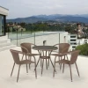 T282ANT/Y137C-W56 Light Brown 4Pcs Комплект плетеной мебели Afina T282ANT/Y137C-W56 Light Brown 4Pcs