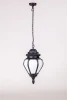 89505L Bl Уличный светильник подвесной Oasis Light 89505L Bl