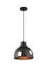 A6024SP-1BK Подвесной светильник Arte Lamp Eurica A6024SP-1BK