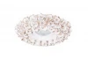 N1628-White+gold Точечный светильник Donolux N1628 N1628-White+gold