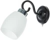 A4505AP-1BK Бра Arte Lamp Krit A4505AP-1BK