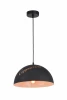 A5063SP-1BN Подвесной светильник Arte Lamp Dome A5063SP-1BN