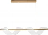 A2093SP-2GO Подвесной светильник LED Arte Lamp Fiorita A2093SP-2GO (220V, на проводе)