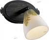 2146/1W Спот Odeon Light Canto 2146/1W