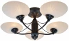 1289/5C Потолочная люстра J-Light Mody 1289/5C