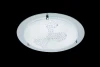 CL213-11-W Потолочный светильник Maytoni Riman CL213-11-W