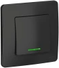 BLNVS010616 Выключатель встраиваемый одноклавишный с подсветкой (антрацит) Systeme Electric Blanca BLNVS010616