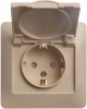 GSL000246 Розетка встраиваемая с заземлением, шторками и крышкой (бежевый) Systeme Electric Glossa GSL000246