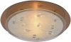 A4043PL-2CC Потолочный светильник Arte Lamp Tiana A4043PL-2CC