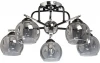 324017505 Потолочная люстра MW-Light Альфа 324017505