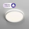 DK6511-WH Потолочный светильник круглый Denkirs Plato DK6511-WH (регулировка яркости, LED, 220V, пульт управления, умный дом - Алиса, Smart Life, круглые)