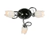 OML-39707-03 Потолочная люстра Omnilux Armagnac OML-39707-03