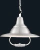 A3638SP-1SS Подвесной светильник Arte Lamp Pendants A3638SP-1SS
