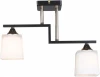 MD.5702-2-S-COFFEE+FGD Потолочная люстра на штанге Imex MD.5702-2-S-COFFEE+FGD