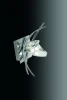 1461 Бра Mantra Eclipse 1461