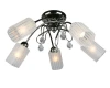 OML-39807-05 Потолочная люстра Omnilux Bigorre OML-39807-05