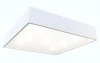 DND1011 Потолочный светильник Day&Night Квадрат DND1011