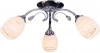 1113/3P Потолочная люстра Escada Diana 1113/3P