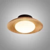 Huchen01 Потолочный светильник светодиодный ImperiumLoft Huchen01