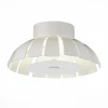 SL559.503.01 Потолочный светильник уличный ST Luce Corto SL559.503.01