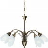 A4905LM-5AB Подвесная люстра Arte Lamp Petal A4905LM-5AB