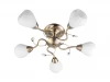 TL3570X-05AB Потолочная люстра Toplight Lorin TL3570X-05AB