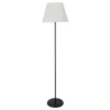 A5068PN-1BK Торшер Arte Lamp Alea A5068PN-1BK (220V, выключатель)