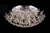 SL728.102.20 Потолочный светильник ST Luce SL728 SL728.102.20